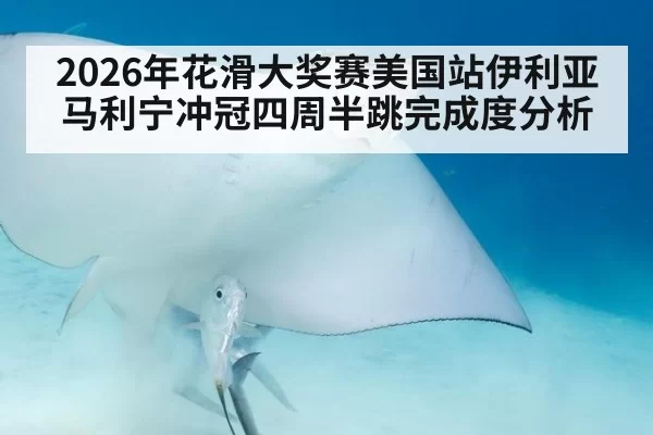 2026年花滑大奖赛美国站伊利亚马利宁冲冠四周半跳完成度分析